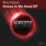 Voices In My Head EP