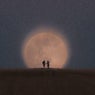 moonlight