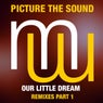 Picture The Sound - Our Little Dream (Remixes Part 1)