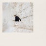 Outside (Parra for Cuva Remix)