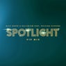 Spotlight (feat. Kaleena Zanders) [VIP Mix]