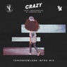 Crazy - Tomorrowland Intro Mix