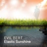 Elastic Sunshine