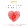I Need Love in My Life feat. Karina Karra