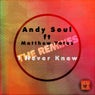 I Never Knew (The Remixes) [feat. Matthew Yates]