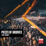 Pieces Of Grooves (Tech Therapy)