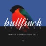 Bullfinch Winter 2021 Compilation