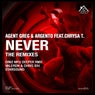 Never (feat. Chrysa T.) [The Remixes]