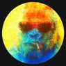 Italo Gorilla