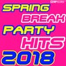 Spring Break Party Hits 2018