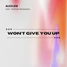 Won't Give You Up