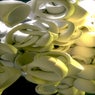 Solum