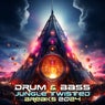 Drum & Bass Jungle Twisted Breaks 2024
