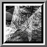 April 16 (One-Hour Mix)