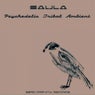 Ep Psychedelic Tribal Ambient Two 2012