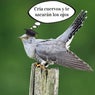 Cria cuervos y te sacaran los ojos