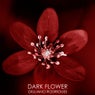 Dark Flower EP