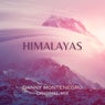 Himalaya (feat. Dave Damage)