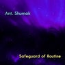 Safeguard of Routine