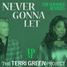 Never Gonna Let (The Summer Remixes)