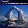 Cisza - David Forbes Remix
