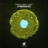 Cyberskies (Extended Mix)