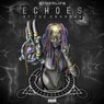 Echoes Of The Unknown
