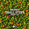 Small Steps