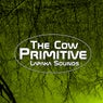 Primitive