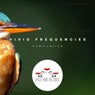 Vivid Frequencies