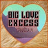 Big Love Excess, Vol.2 (Big Love House Tracks)