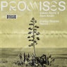 Promises (Franky Rizardo Extended Remix)