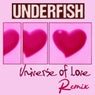 Universe Of Love (Remix)