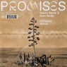 Promises (OFFAIAH Extended Remix)