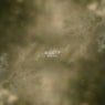 NGUTP REMIXES