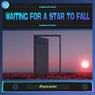 Waiting for a Star to Fall (feat. 2icons)