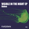 Visible In The Night EP