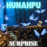 Surprise