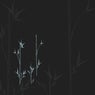 Las Plumas (feat. ROOI, Medix Cielx, Fffffff)