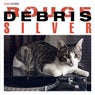 Silver (feat. Silver the cat)