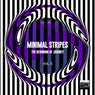Minimal Stripes, Vol. 5 (The Beginning Of Journey)