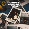 Can't Forget You (Extended Mix)