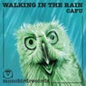 Walking in the Rain