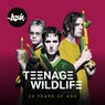 Teenage Kicks