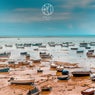 ebb
