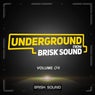 Underground From Brisk Sound, Vol. 04