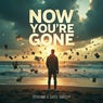 Now You're Gone