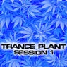 Trance-Plant Session 1
