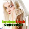 Eurobeat Fresh Collection, Vol. 1