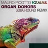 Iguana (Organ Donors Subground Remix)